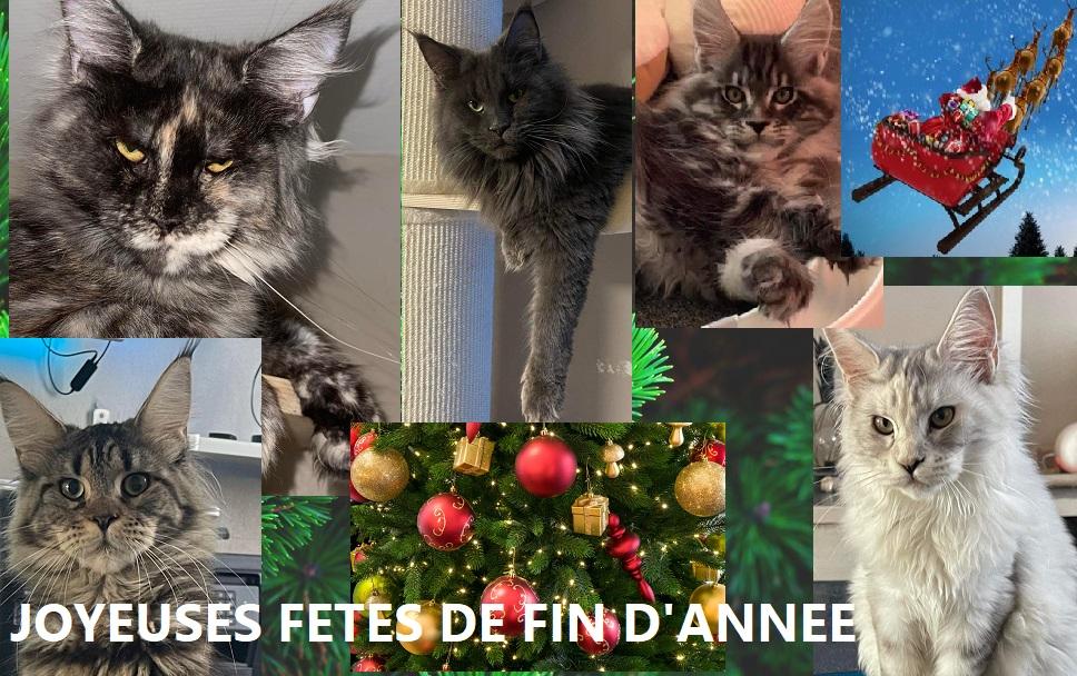 Joyeuses fetes de fin d annee